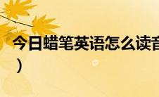 今日蜡笔英语怎么读音发音（蜡笔英语怎么读）