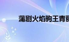 蒲剧火焰驹王青丽（蒲剧火焰驹）