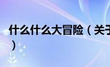 什么什么大冒险（关于什么什么大冒险的介绍）