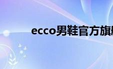 ecco男鞋官方旗舰店（ecc内存）