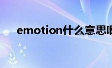 emotion什么意思啊（emotion翻译）