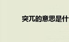 突兀的意思是什么（突兀解释）