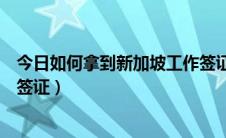 今日如何拿到新加坡工作签证和护照（如何拿到新加坡工作签证）