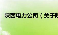 陕西电力公司（关于陕西电力公司的介绍）