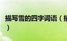 描写雪的四字词语（描写雪的四字词语有哪些）