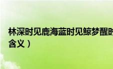 林深时见鹿海蓝时见鲸梦醒时见你的出处和含义（这句话的含义）