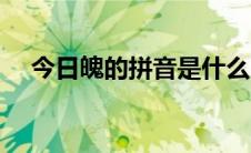 今日魄的拼音是什么（魄的拼音是什么）
