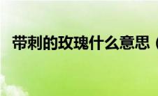 带刺的玫瑰什么意思（带刺的玫瑰的含义）