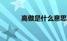 高傲是什么意思（高傲的含义）