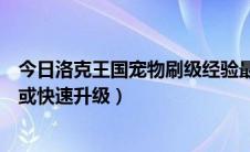 今日洛克王国宠物刷级经验最高（洛克王国怎么给宠物刷级或快速升级）