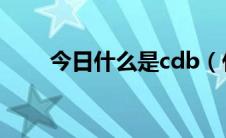 今日什么是cdb（什么是CDR软件）