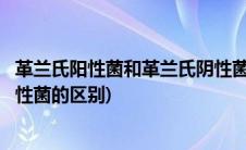 革兰氏阳性菌和革兰氏阴性菌染色(革兰氏阳性菌和革兰氏阴性菌的区别)