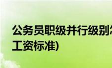 公务员职级并行级别怎么算(公务员职级并行工资标准)