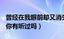 曾经在我眼前却又消失不见是哪首歌的歌词（你有听过吗）