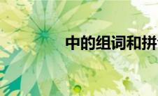 中的组词和拼音(中的组词)