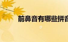 前鼻音有哪些拼音(前鼻音有哪些)
