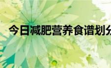 今日减肥营养食谱划分表（减肥营养食谱）