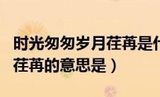时光匆匆岁月荏苒是什么意思（时光匆匆岁月荏苒的意思是）