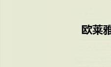 欧莱雅品牌