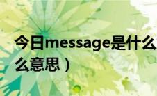 今日message是什么意思啊（Message是什么意思）