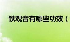 铁观音有哪些功效（铁观音作用是什么）