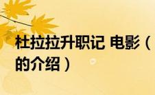 杜拉拉升职记 电影（关于杜拉拉升职记 电影的介绍）