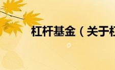 杠杆基金（关于杠杆基金的介绍）