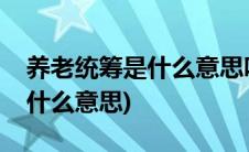 养老统筹是什么意思咋样领工资(养老统筹是什么意思)