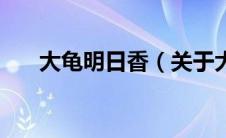 大龟明日香（关于大龟明日香的介绍）