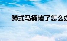蹲式马桶堵了怎么办（教你这样疏通）