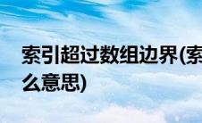 索引超过数组边界(索引超出了数组界限是什么意思)