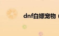 dnf白嫖宠物（dnf开宠物）
