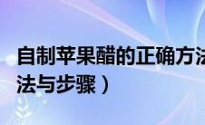 自制苹果醋的正确方法（自制苹果醋的正确方法与步骤）