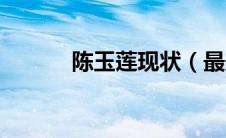 陈玉莲现状（最美小龙女之一）