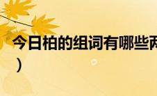 今日柏的组词有哪些两个字（柏的组词有哪些）