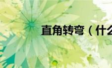 直角转弯（什么是直角转弯）