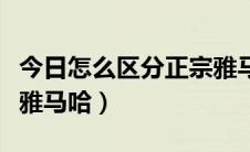 今日怎么区分正宗雅马哈钢琴（怎么区分正宗雅马哈）
