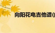 向阳花电吉他谱(向阳花的吉他谱)