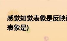 感觉知觉表象是反映论的三种形式(感觉知觉表象是)