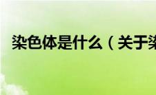 染色体是什么（关于染色体是什么的介绍）