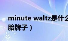 minute waltz是什么意思（waltz是什么轮胎牌子）