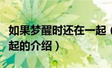 如果梦醒时还在一起（关于如果梦醒时还在一起的介绍）