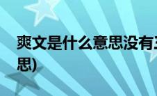 爽文是什么意思没有三观正的(爽文是什么意思)