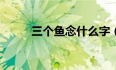 三个鱼念什么字（三个鱼念读音）
