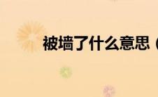 被墙了什么意思（被墙了的意思）