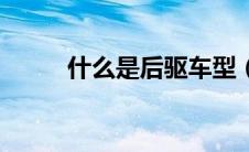 什么是后驱车型（什么是后驱车）