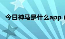 今日神马是什么app（神马是什么意思啊）