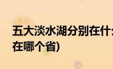 五大淡水湖分别在什么地方(五大淡水湖分别在哪个省)