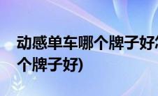 动感单车哪个牌子好怎么样挑选(动感单车哪个牌子好)