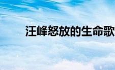 汪峰怒放的生命歌词（汪峰的简介）